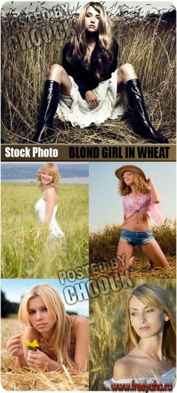     -  | Girl in wheat