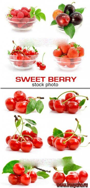    -     | Cherry and Berry