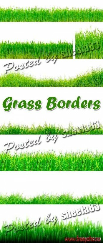   -  | Green grass