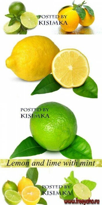       -   | Lemon and lime clipart