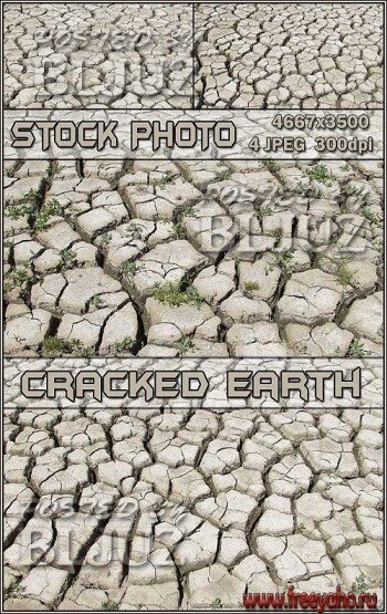   -   | Cracked Earth