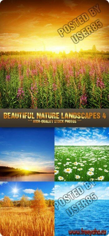   -   | Nature Landscapes