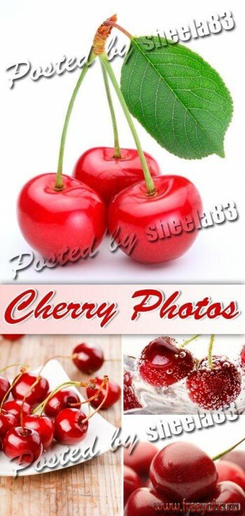  -   | Cherry