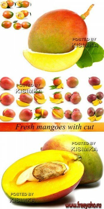    -  l Stock Photo - Fresh mangoes with cut