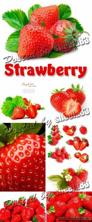   -     | Strawberry