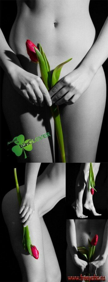      -   | Nude girl with tulips