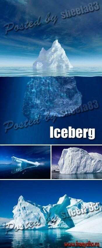  -  | Iceberg
