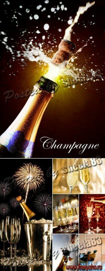    -  | Stock Photo - Champagne 2