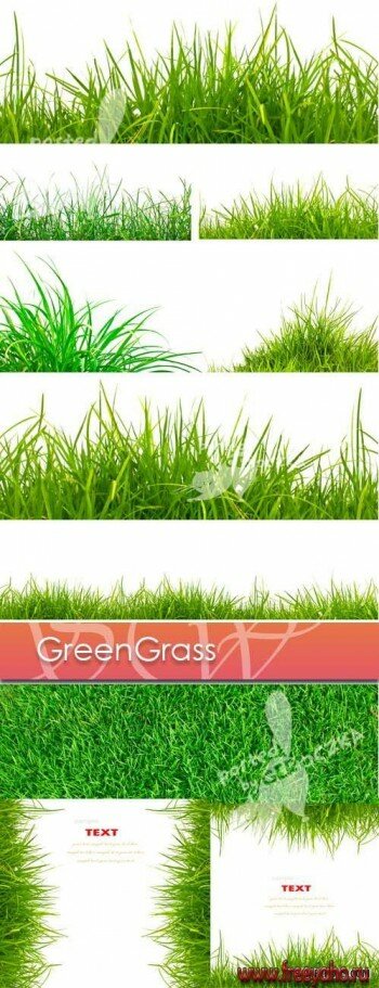   -    | Green Grass