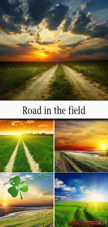    -   | Road and field