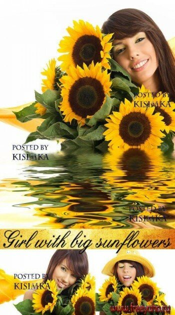    -   | Girl in sunflowers