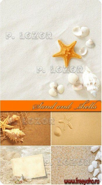       -   | Starfish and seashells on sand