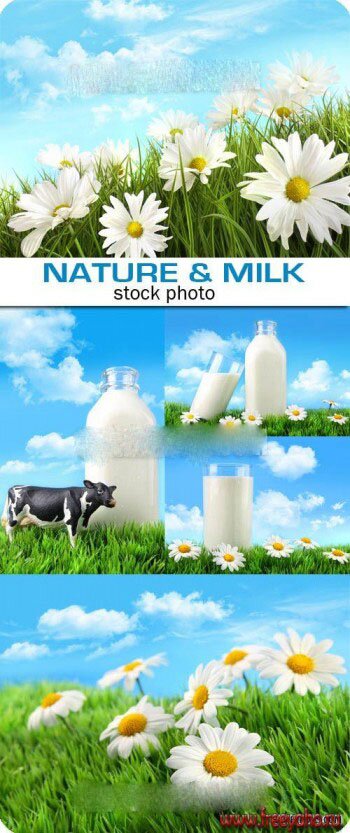      -   | Milk on the nature