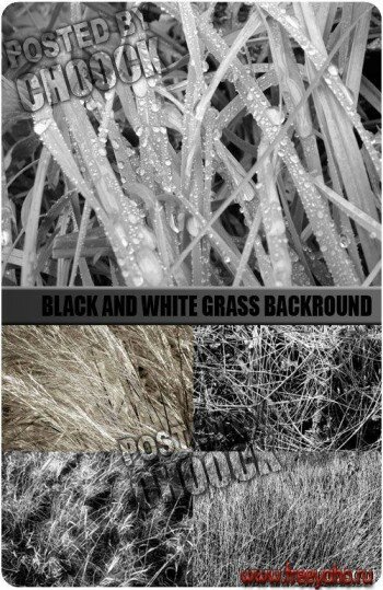 -  -    | Black and white grass