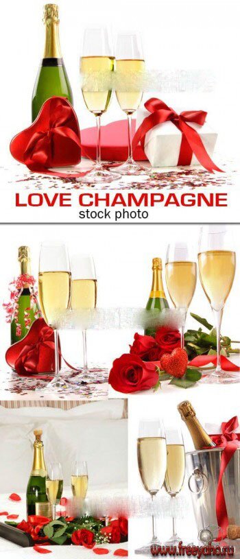    -    -  | Champagne and roses