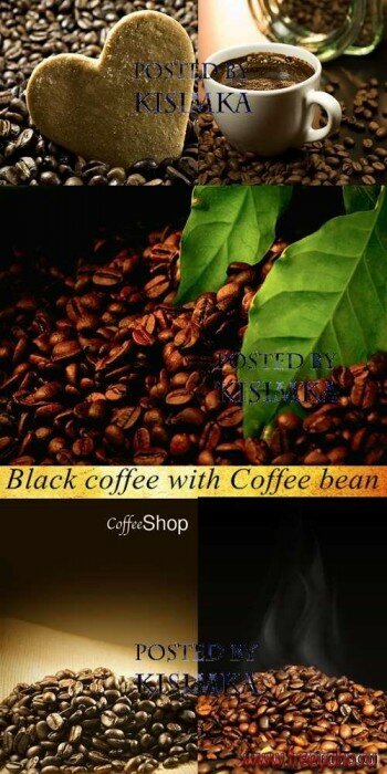   -   | Coffee bean