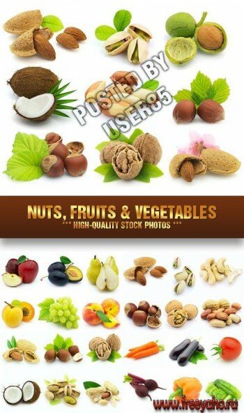 , , ,  -   | Nuts, Fruits and Vegetables