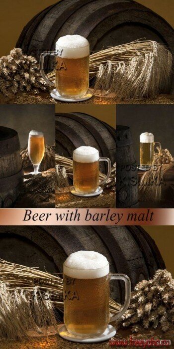    -   | Beer and wheat