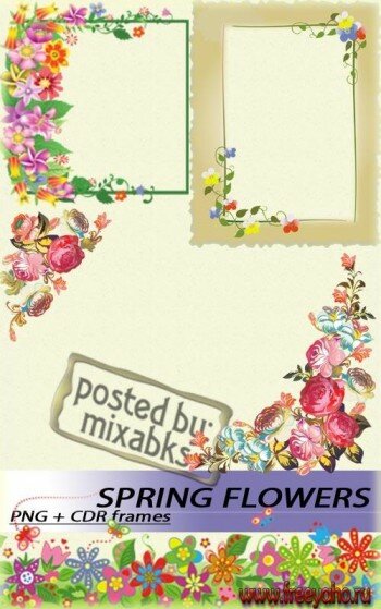    | Spring flower frames (PNG)