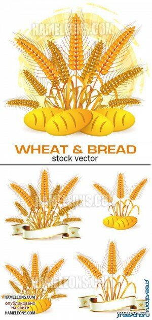     -   | Wheat and bread vector