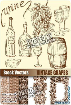    -    | Retro wine and grape