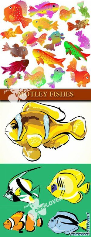   -   | Motley fishes