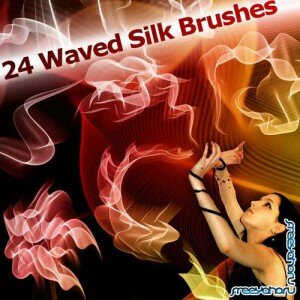 24 Waved Silk Brushes