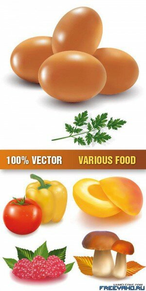 ,      | Stock Vector - Various Food