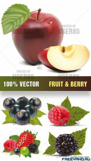       | Stock Vector - Fruit & Berry