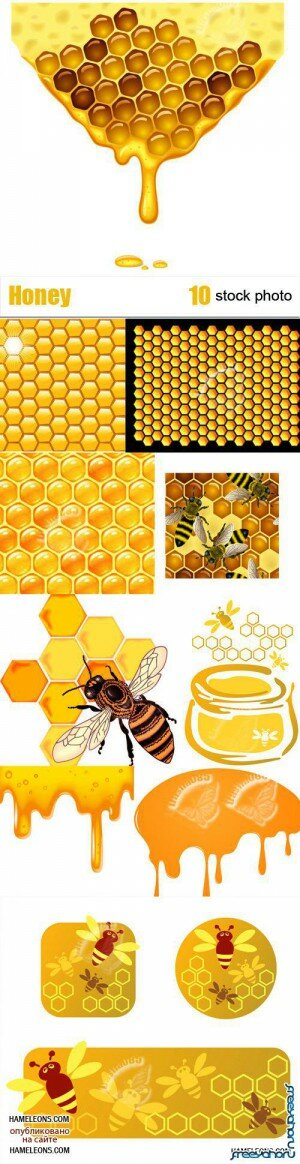 ̸,    -   | Honey vector