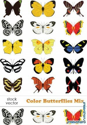  -   | Color Butterflies Mix