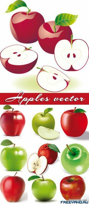Apples - big vector collection |   