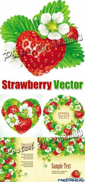     -  | Strawberry Vector