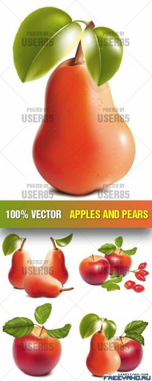     -   | Apples and Pears Vector clipart