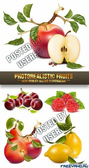      | Vector fruits