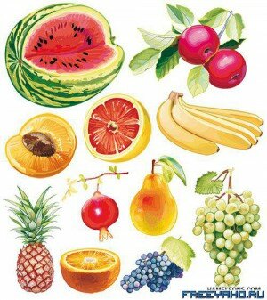Vector Fruit and Berries |   