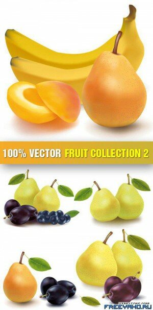  ,      | Stock Vector - Fruit Collection 2