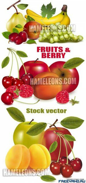       | Fruit & berry 4