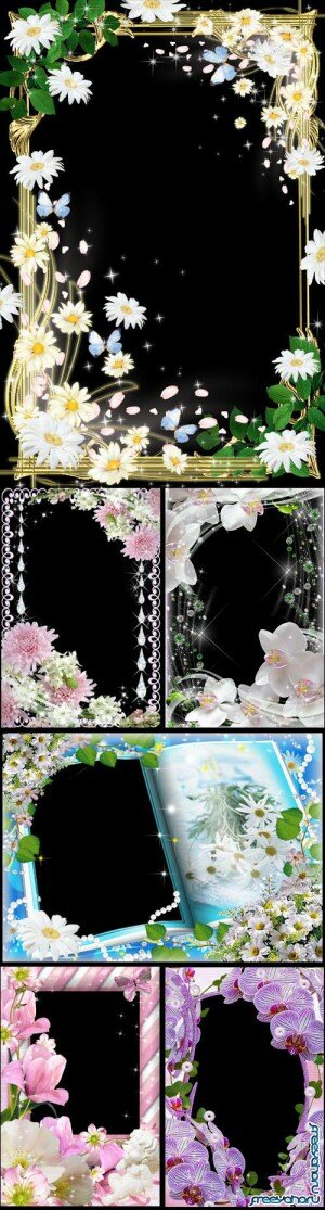 Set Flower Frames Vol.7
