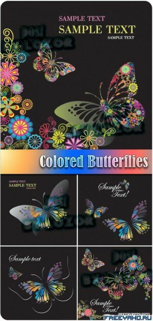   -   | Color vector Butterflies