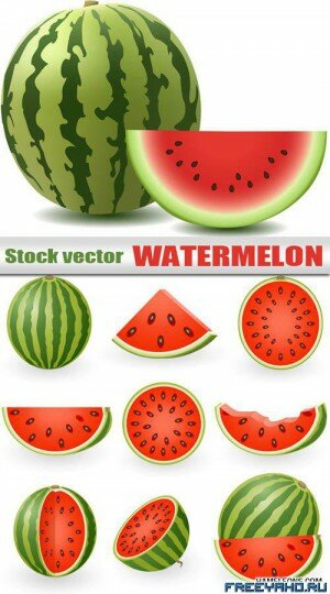       | Watermelon