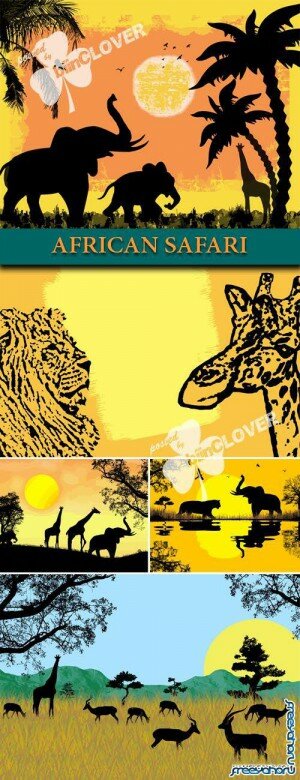   -  | African safari