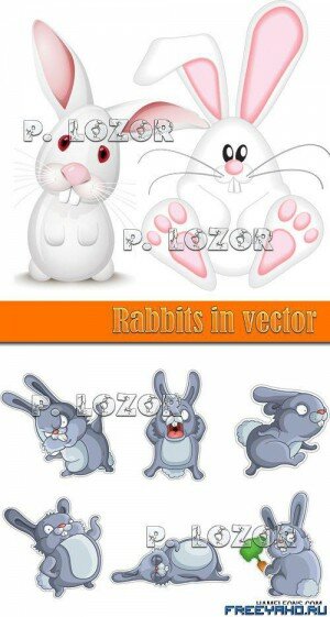       | Vector rabbits