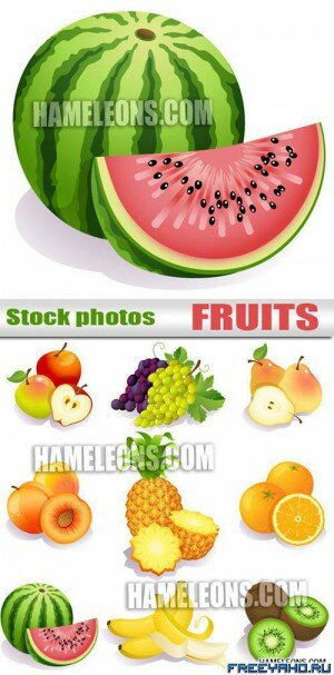      | Vector fruits