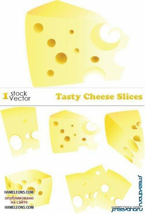    | Cheese vector