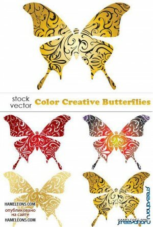    | Butterflies vector
