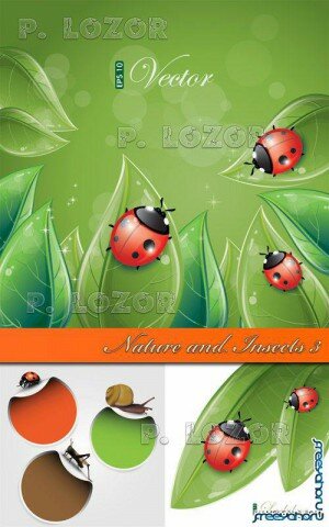      -   | Nature and Insects vector