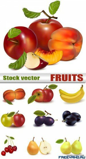      | Fruit vector 2