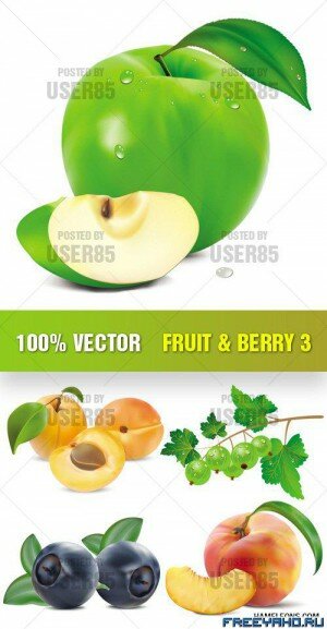        | Fruit & Berry Vector 3