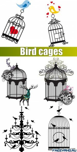     | Bird & cage vector